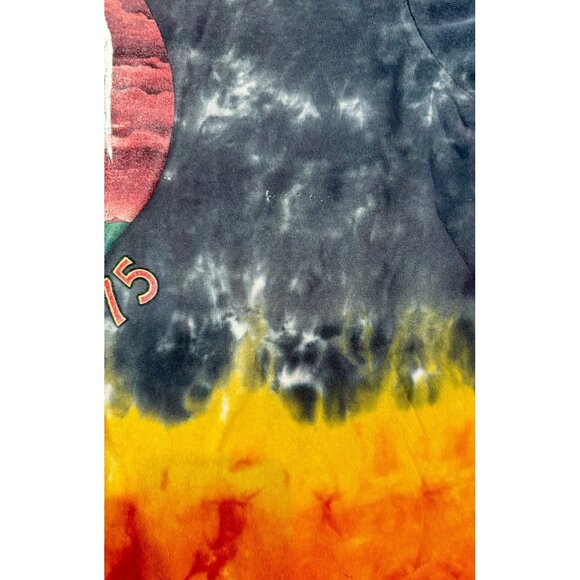 Vintage Led Zeppelin 1975 Tour Tie-Dye Band Tee Delta Pro Weight Collectible XL - Picture 4 of 12